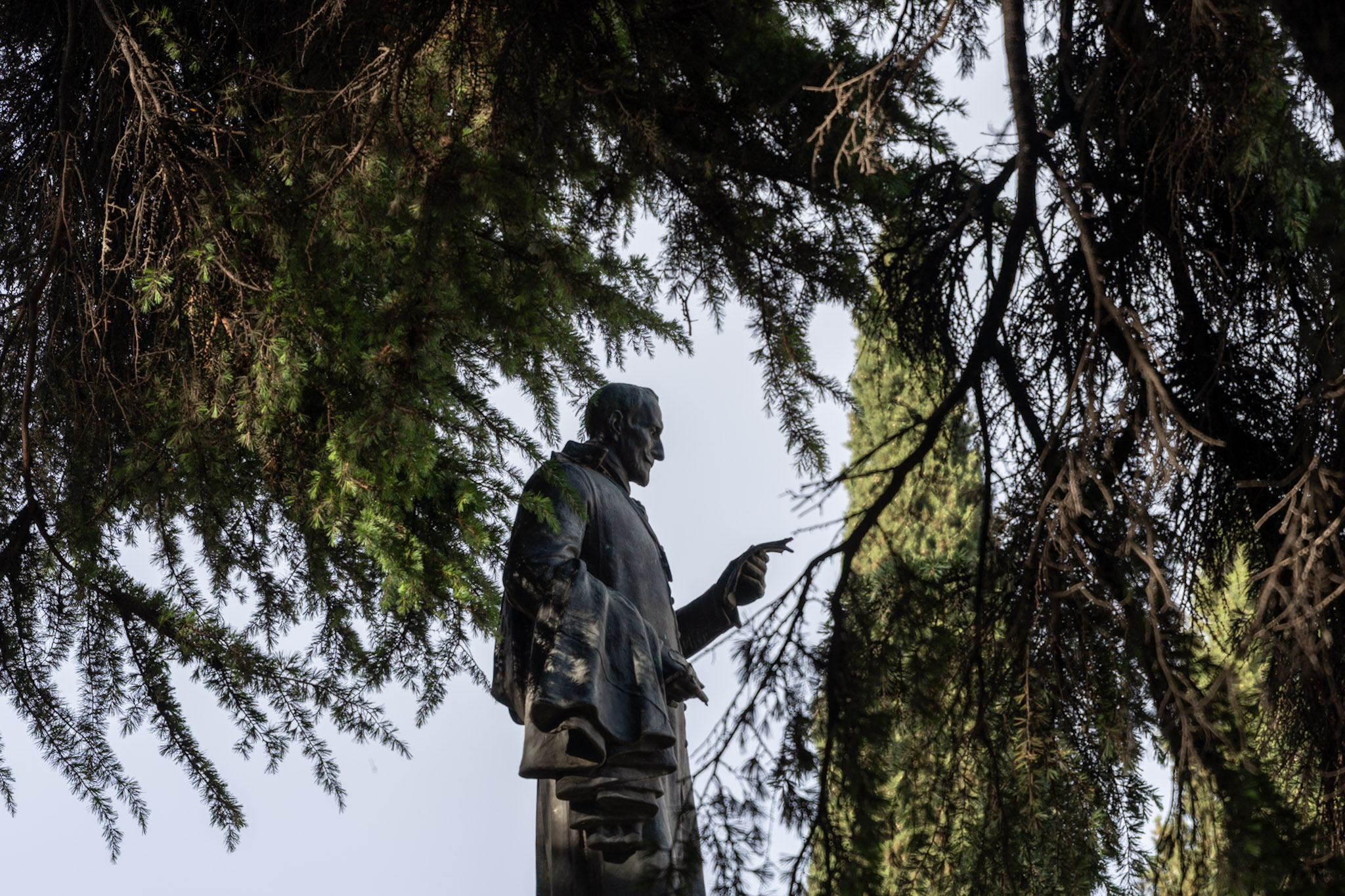 Bronze Orator, Pines