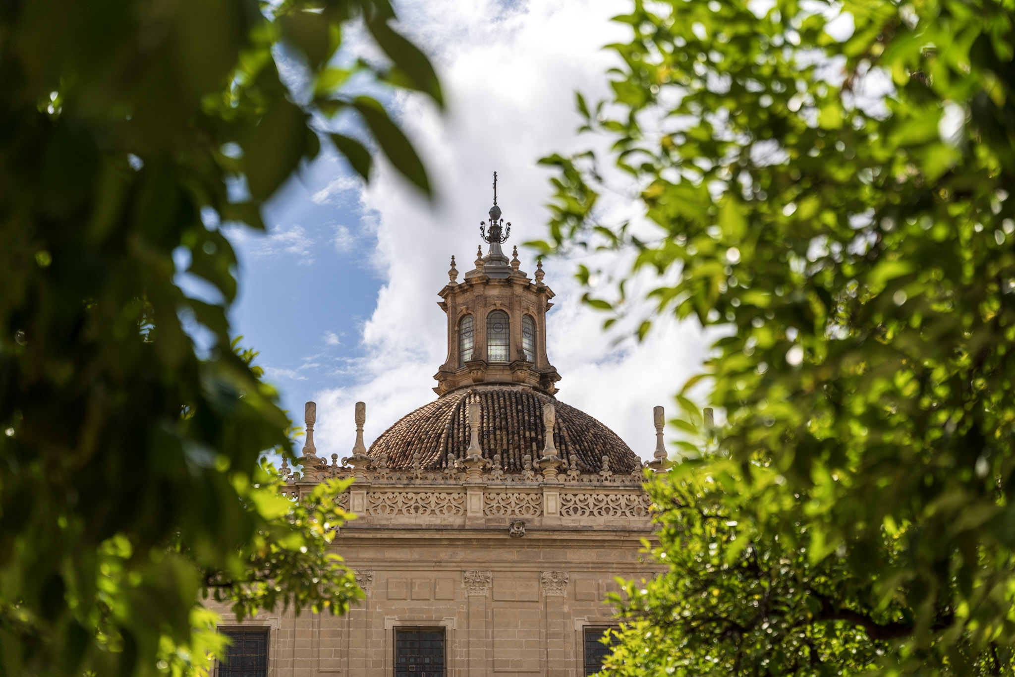 Dome Through Leaves