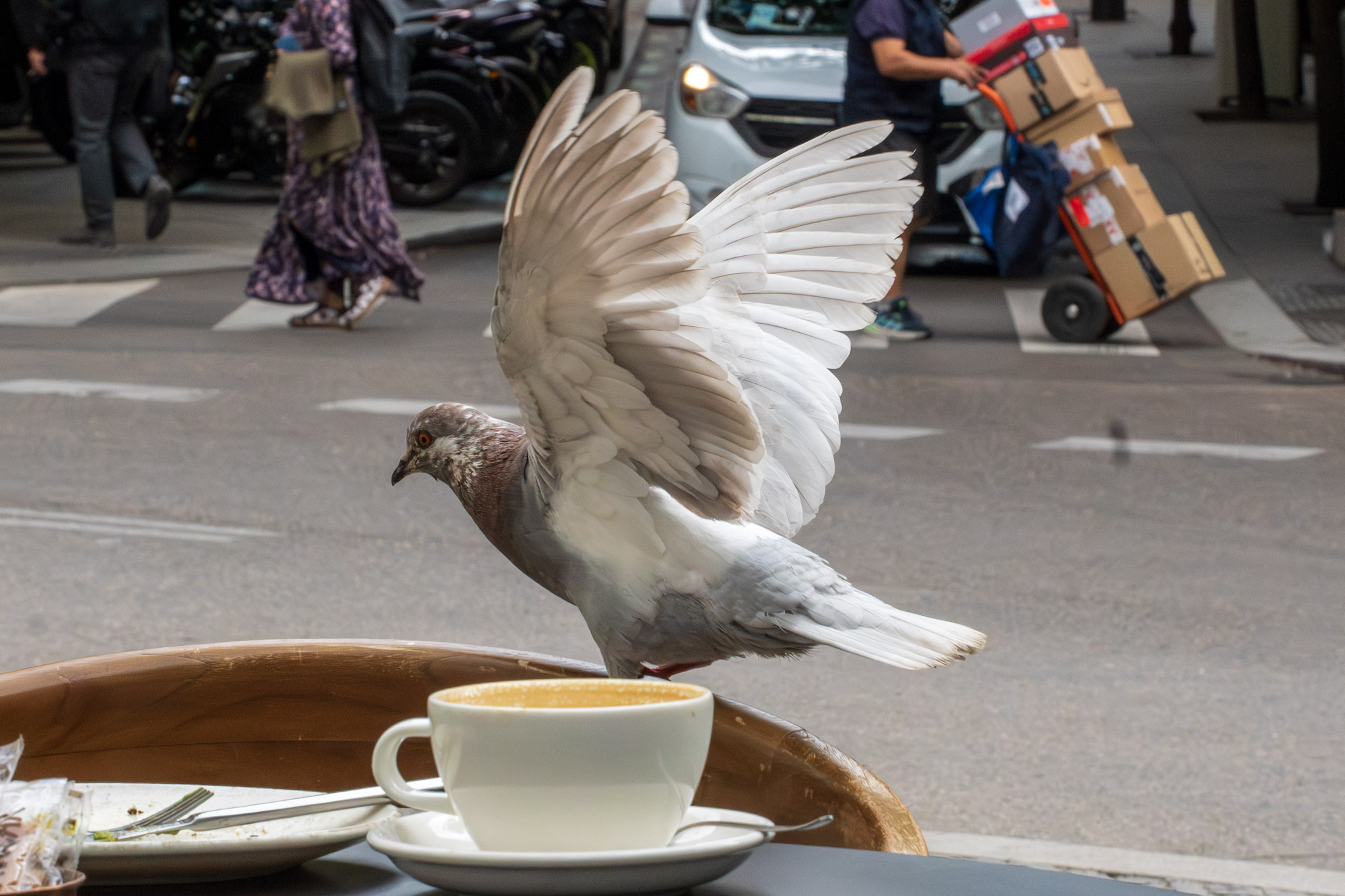 Café Pigeon, Paris