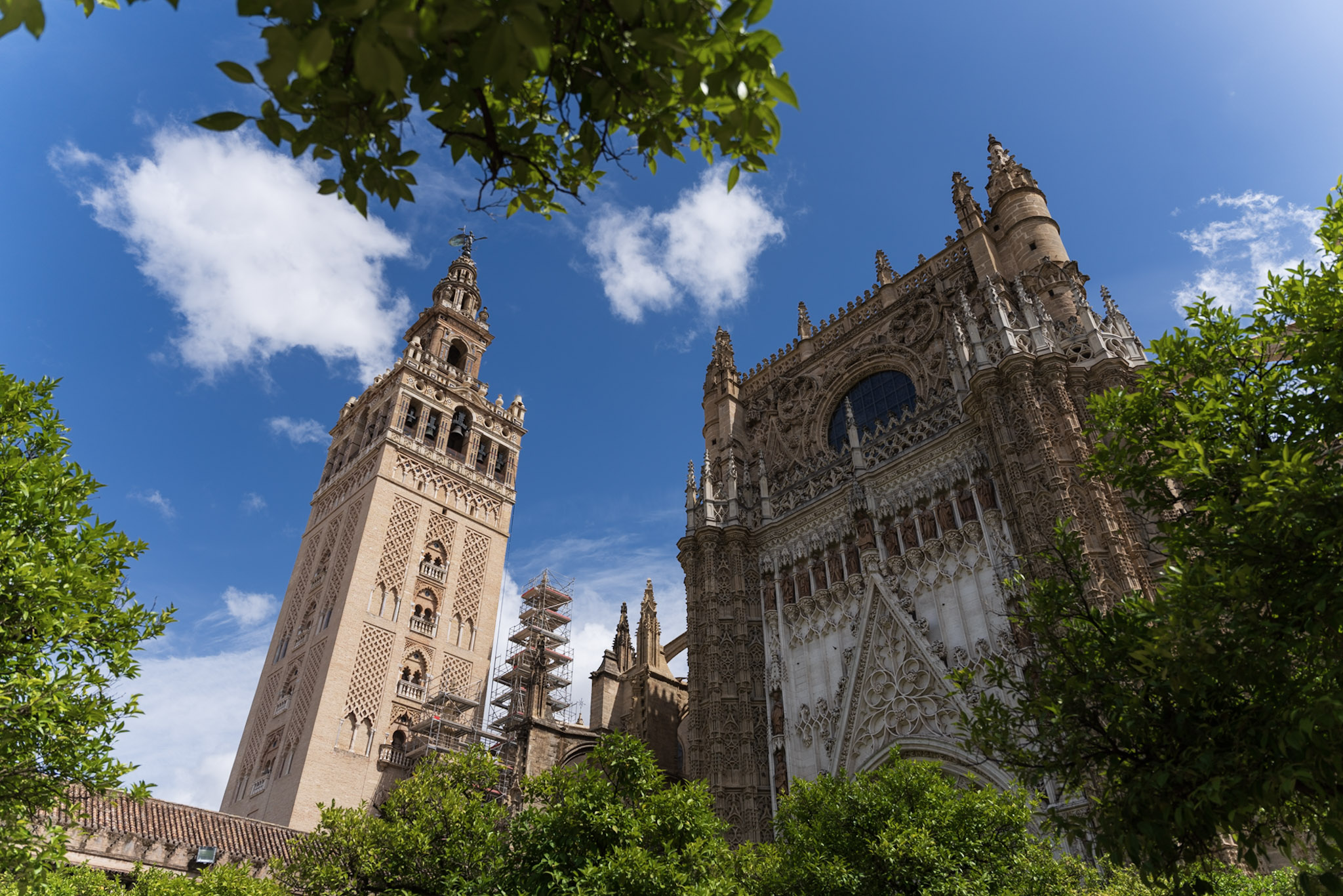 Giralda, Orange Grove